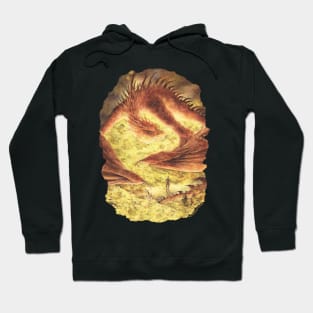 Smaug the Dragon - Tolkien illustration Hoodie